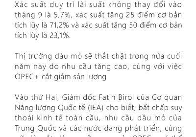 Thị trường dầu mỏ sẽ thắt chặt trong nửa cuối năm nay