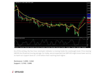 Market Analysis