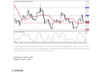 Daily Analysis