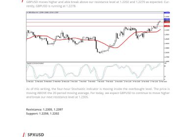 Daily Analysis