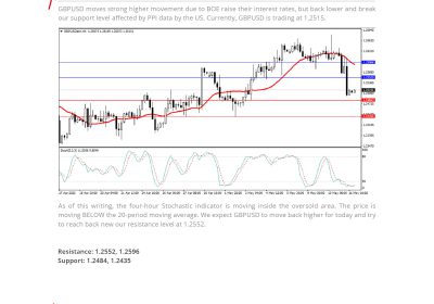 Daily Analysis