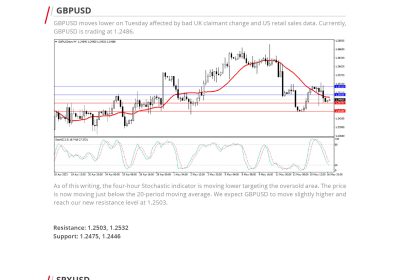 Daily Analysis