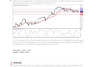 Daily Analysis