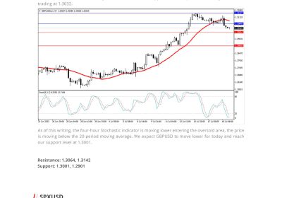 Daily Analysis