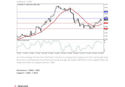 Daily Analysis