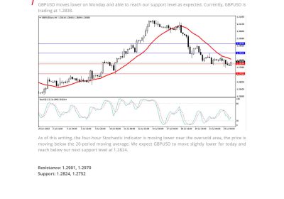 Daily Analysis