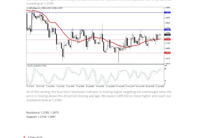 Daily Analysis