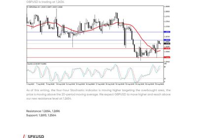 Daily Analysis