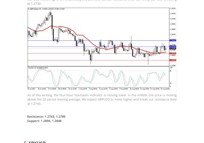 Daily Analysis