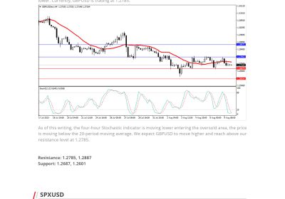 Daily Analysis