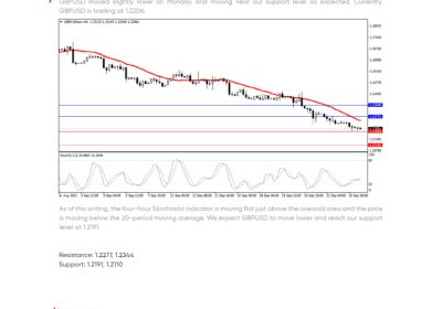 Daily Analysis