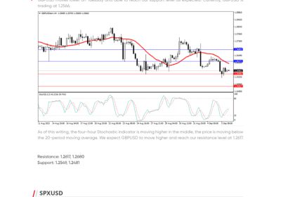 Daily Analysis