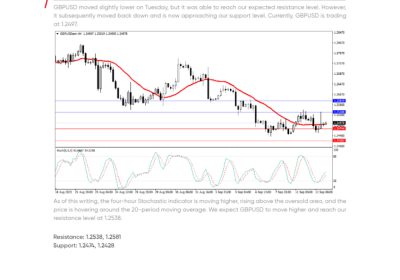 Daily Analysis