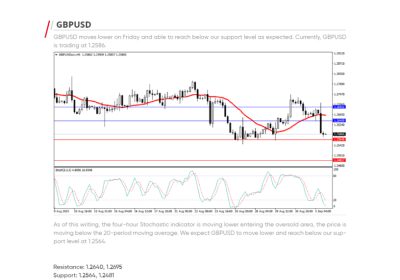 Daily Analysis