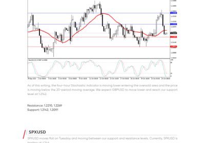 Daily Analysis