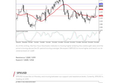 Daily Analysis