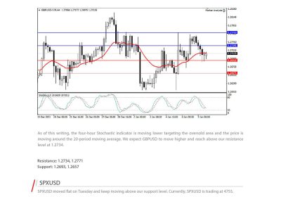 Daily Analysis