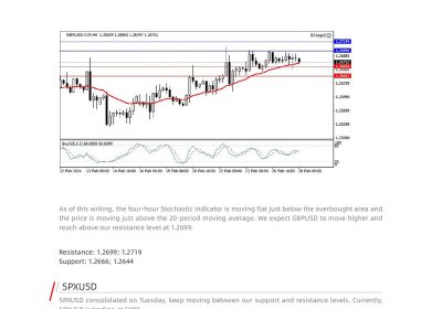 Daily Analysis