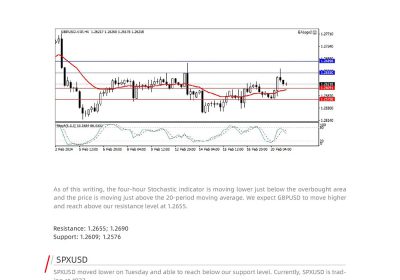 Daily Analysis