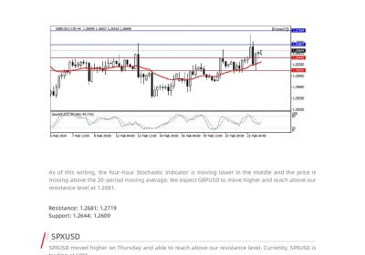 Daily Analysis