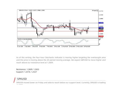 Daily Analysis