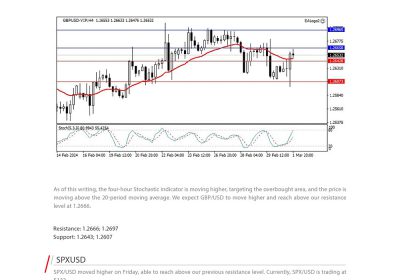 Daily Analysis