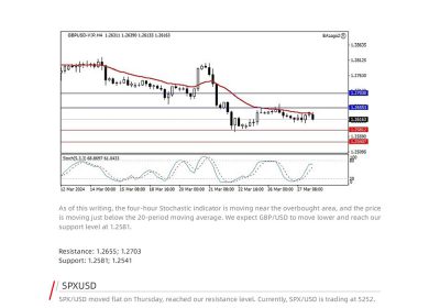 Daily Analysis