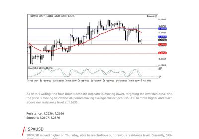 Daily Analysis