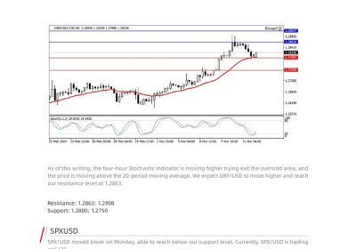 Daily Analysis